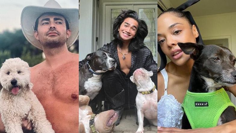 The best photos of MLB players and their dogs on National Puppy Day - Bless  You Boys