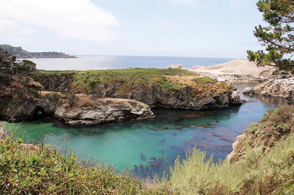 04-point-lobos-state-reserve