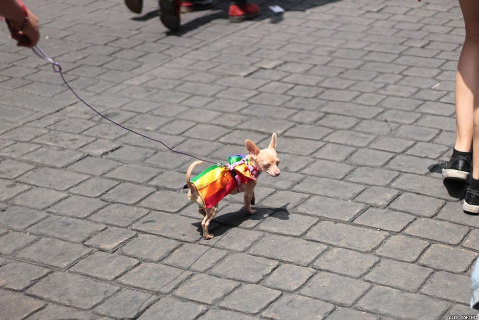 111-mexico-city-pride-alex-sanchez-2018