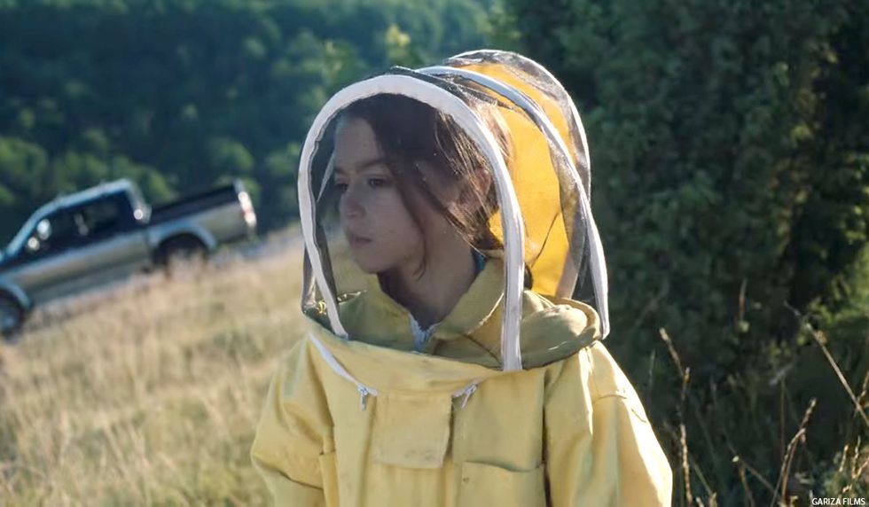 20,000 Species of Bees