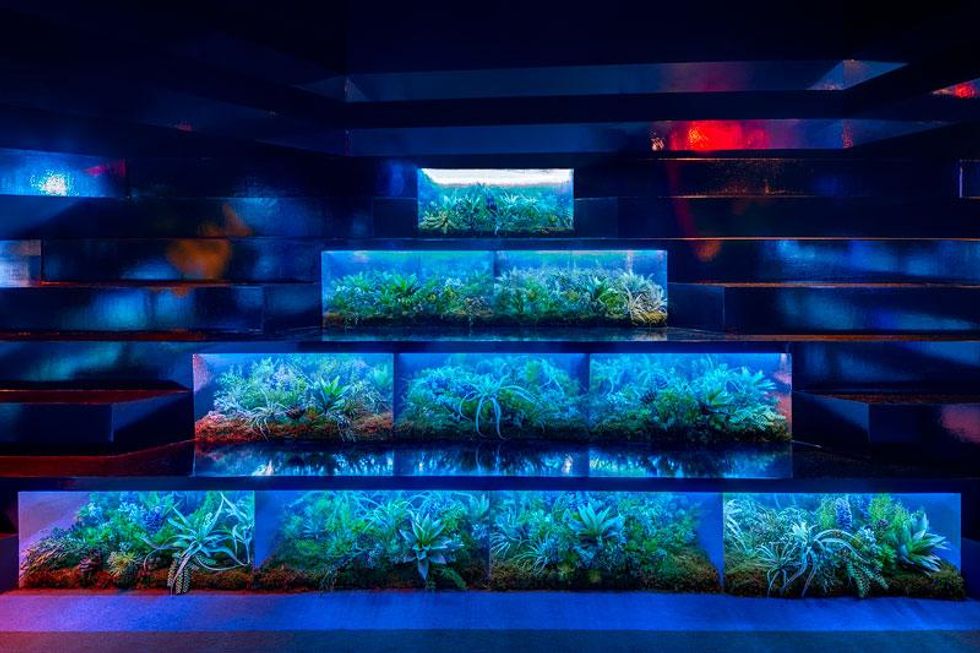 2014_06_rdec_mad_296_lr