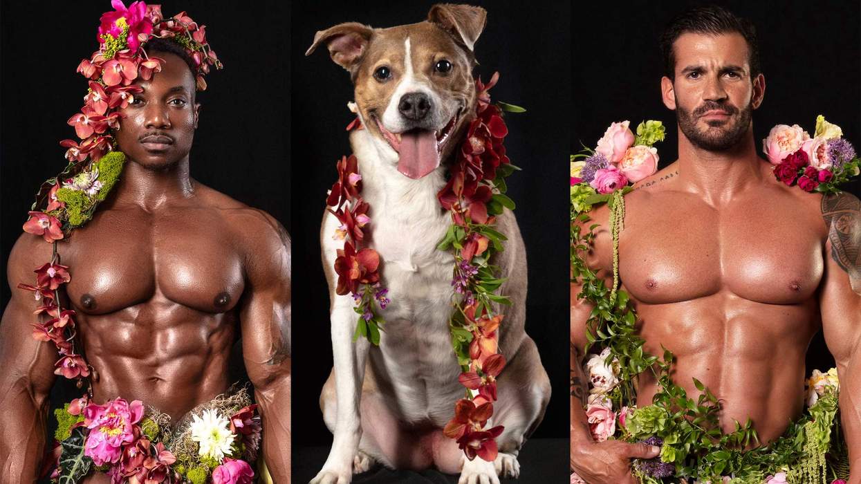 2027 Pups, Pecs & Petals calendar