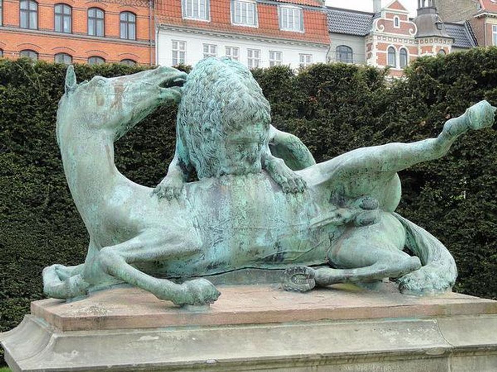 22 Hard Bodies In Copenhagen