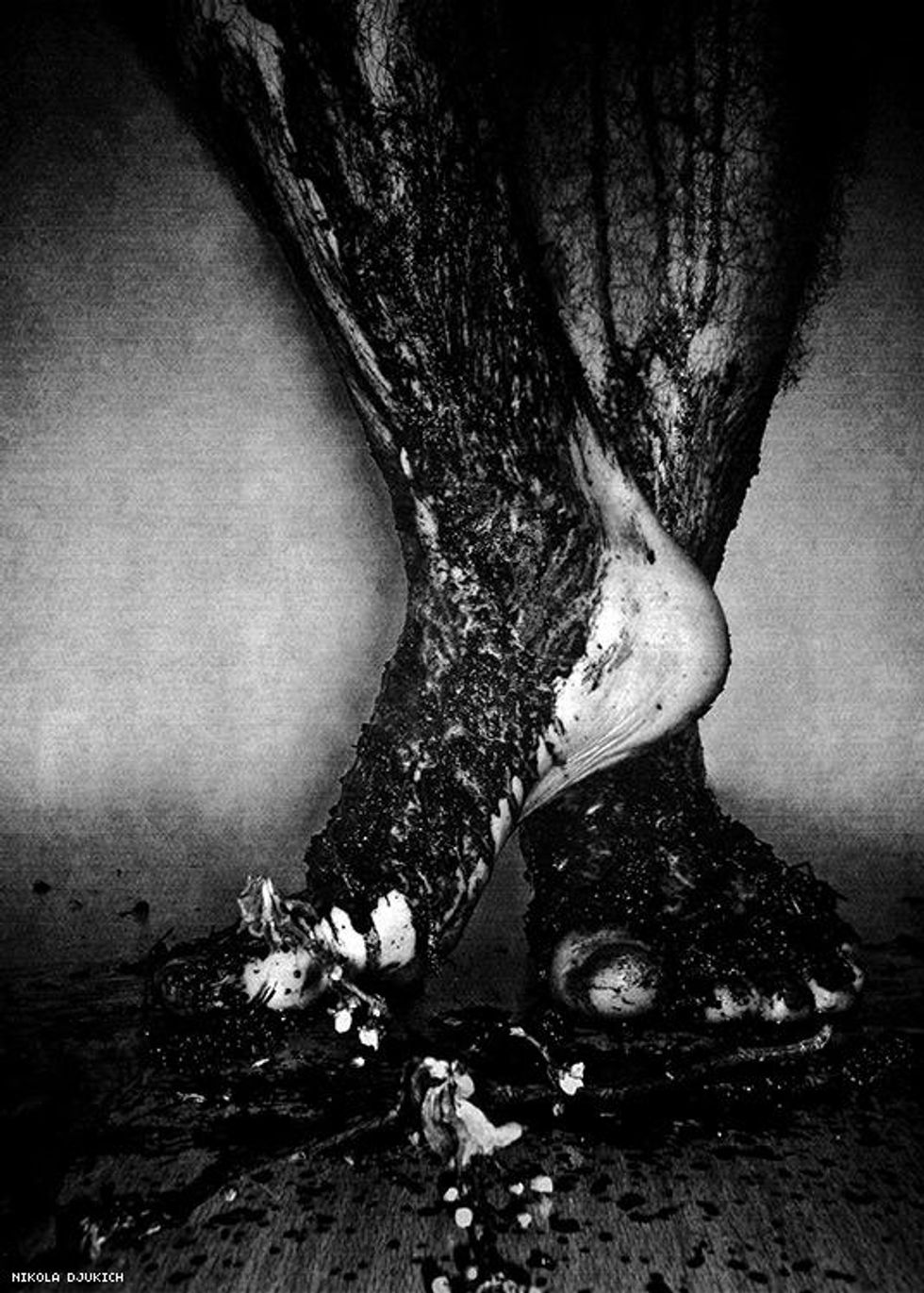 24-nikola-djukich-july-2018