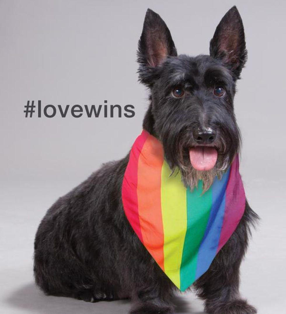 30 Brands That Made Us Proud