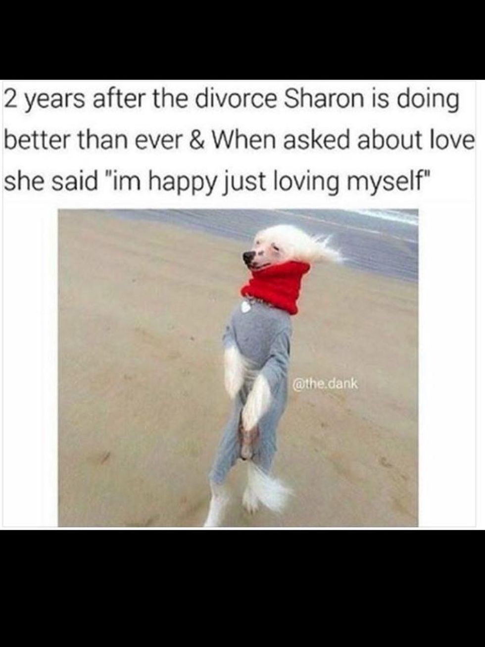 30 Memes That Gave Us A Brief Respite From 2017