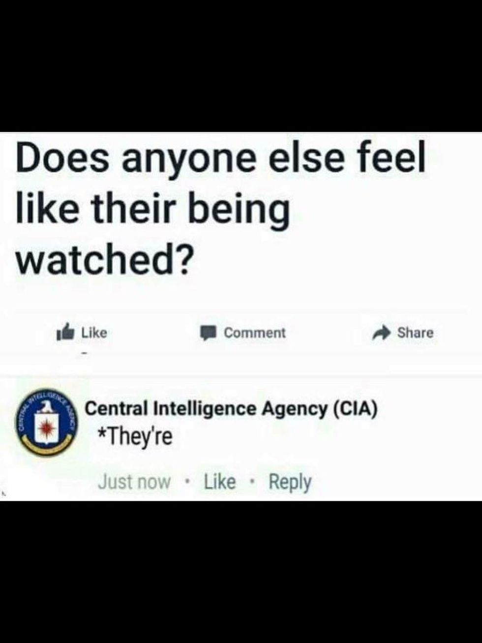 30 Memes That Gave Us A Brief Respite From 2017