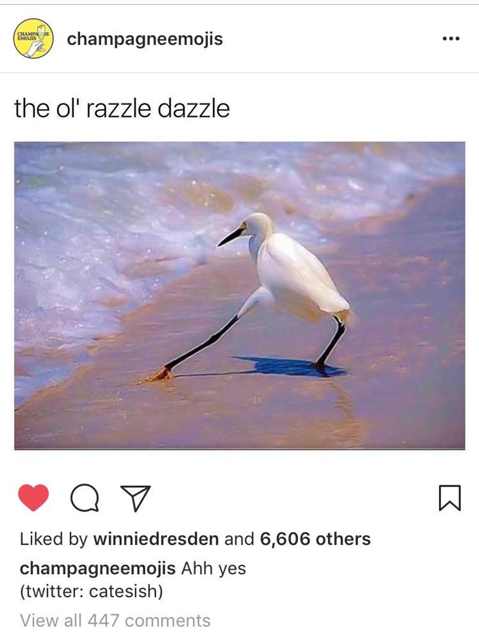 30 Memes That Gave Us A Brief Respite From 2017