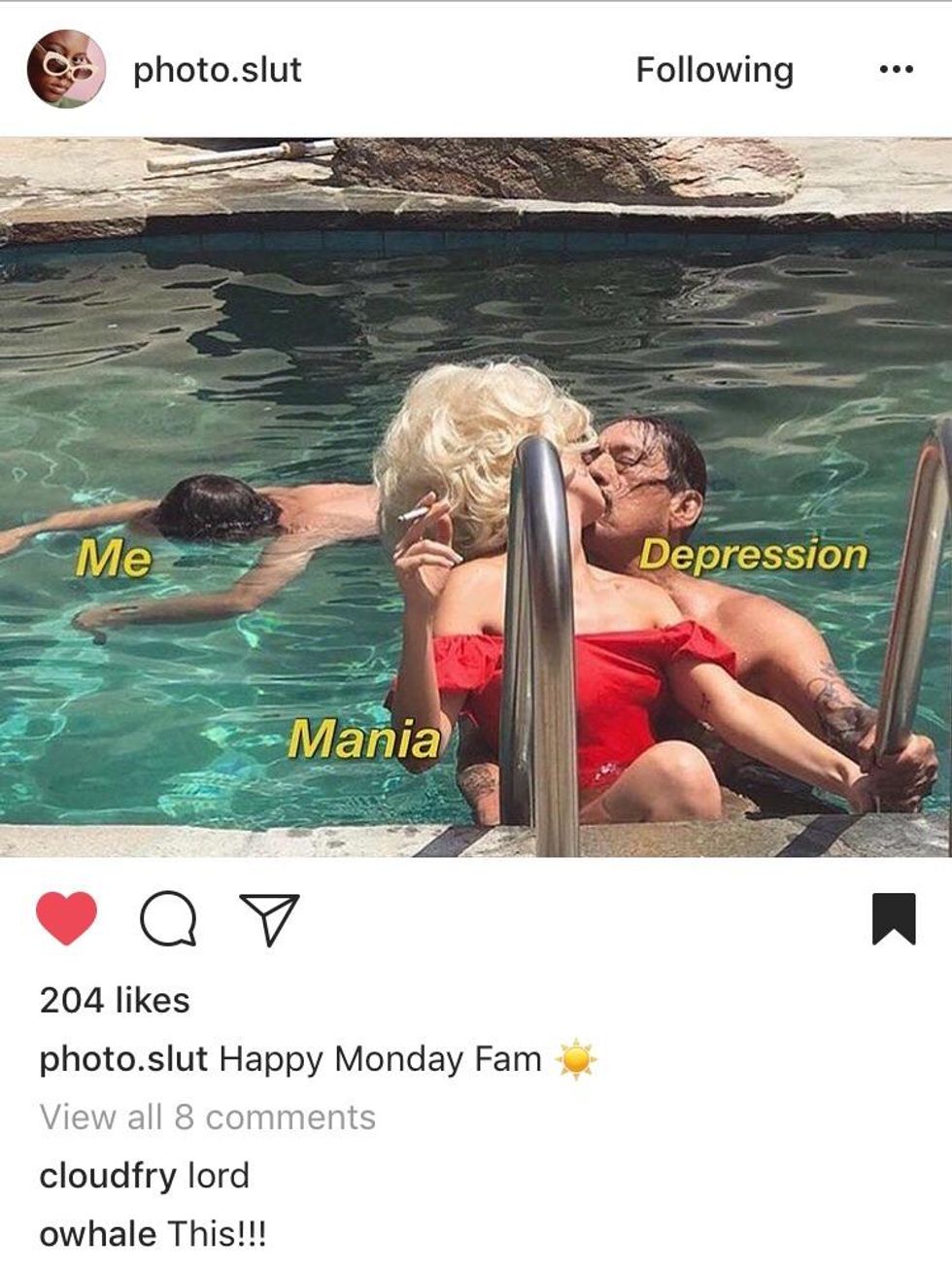 30 Memes That Gave Us A Brief Respite From 2017