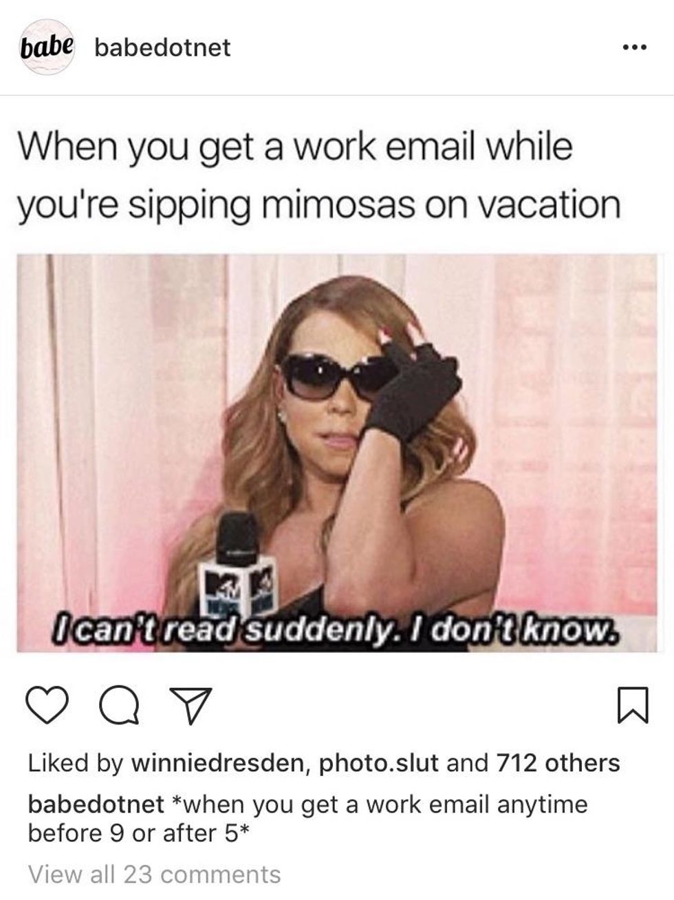 30 Memes That Gave Us A Brief Respite From 2017