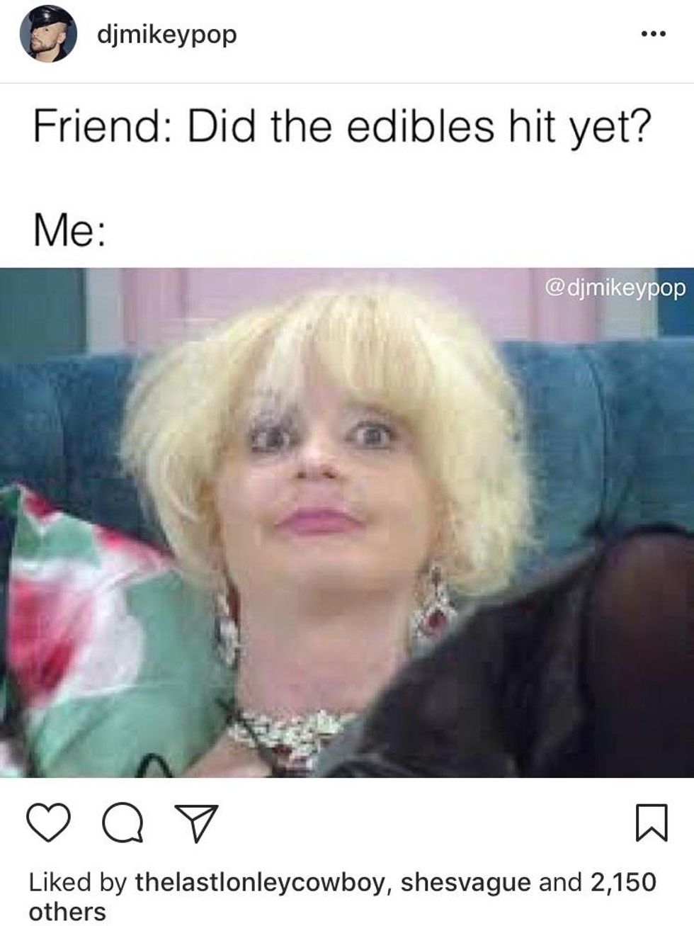 30 Memes That Gave Us A Brief Respite From 2017