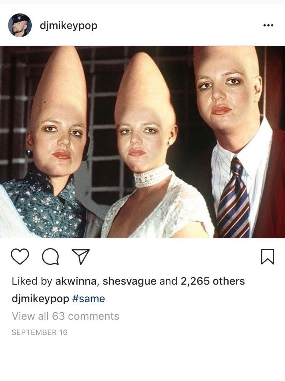 30 Memes That Gave Us A Brief Respite From 2017