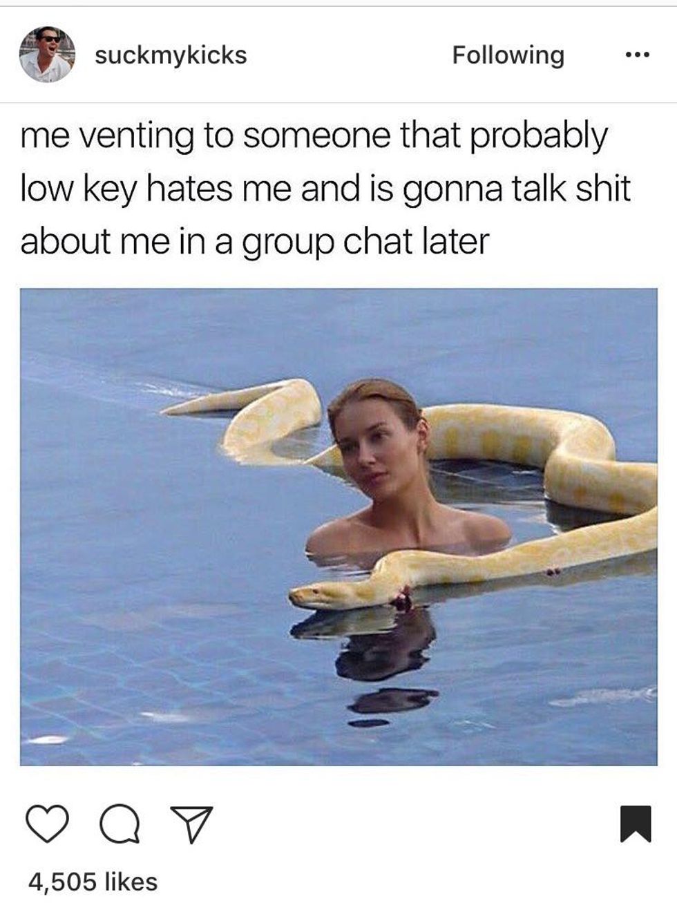 30 Memes That Gave Us A Brief Respite From 2017