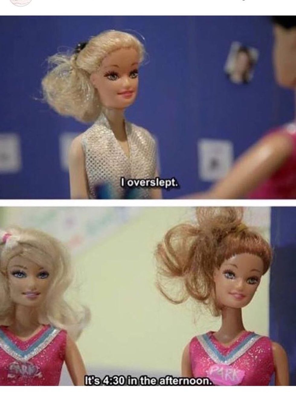 30 Memes That Gave Us A Brief Respite From 2017