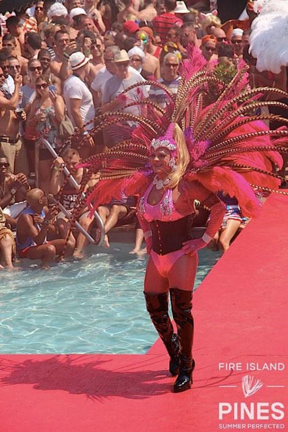 40-invasion-pines-history-2018