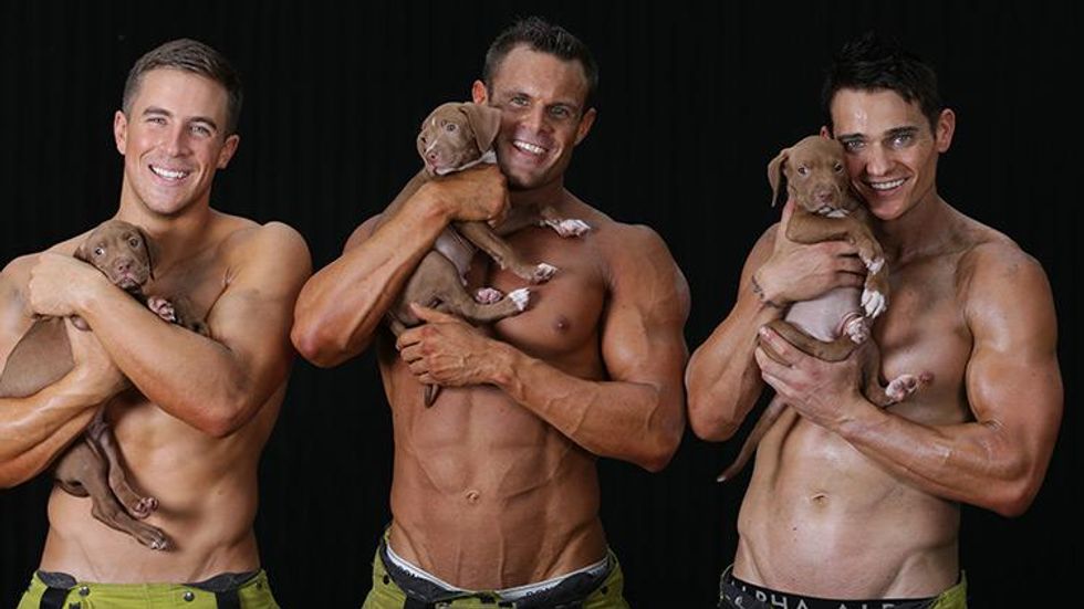 43 Steamy Aussie Firemen--Posing With Adorable Animals