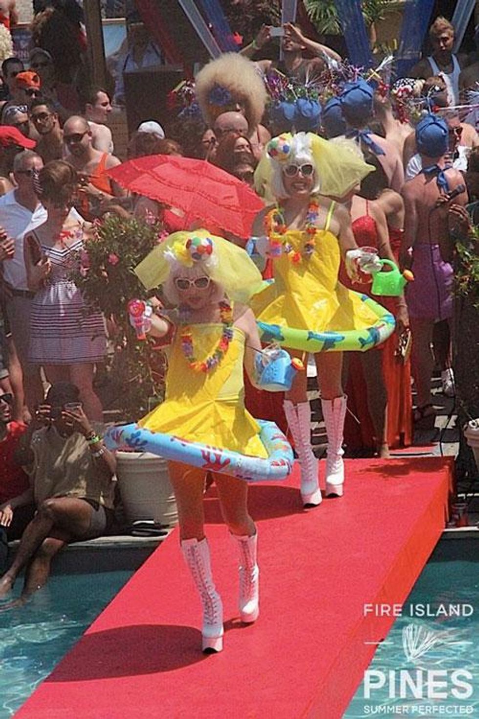 46-invasion-pines-history-2018