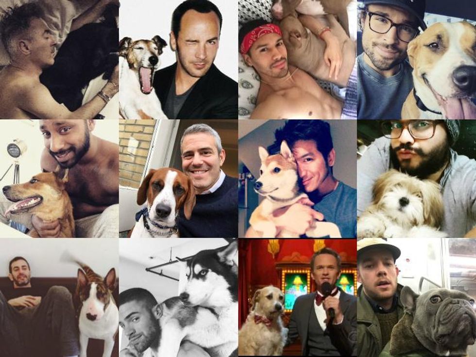 50 guys and puppies