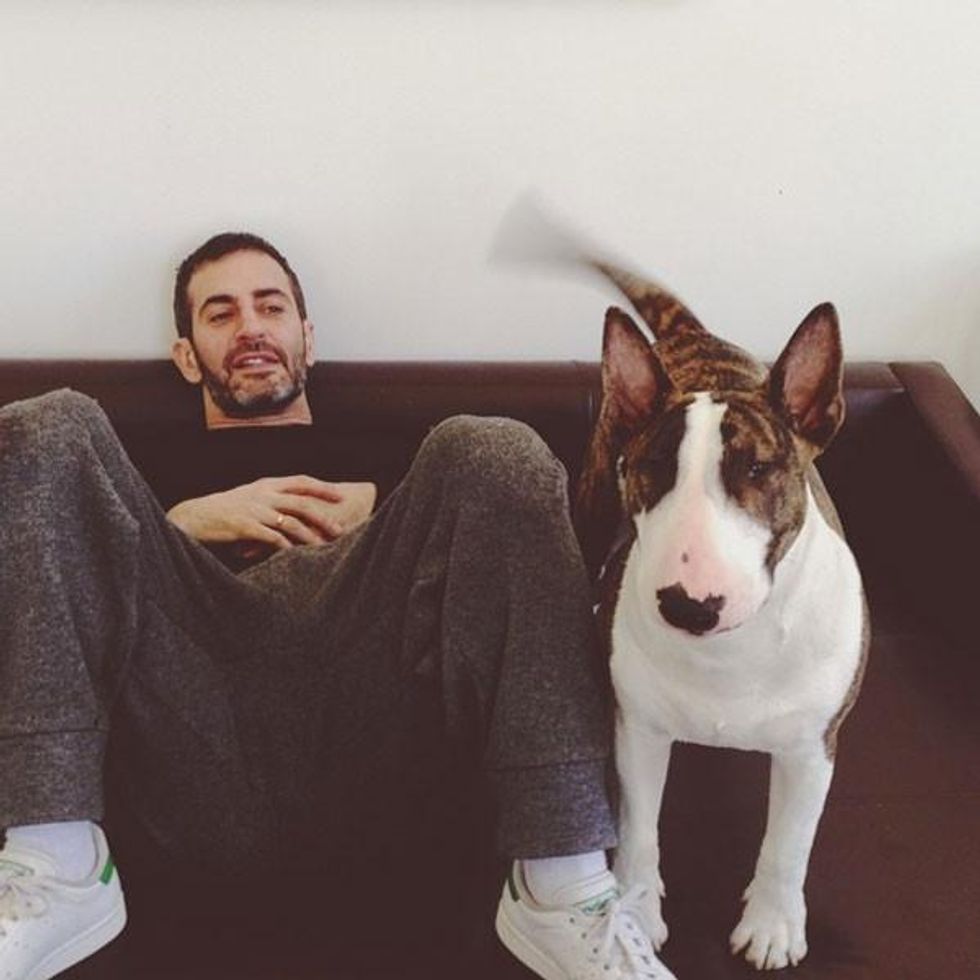 50 guys with puppies