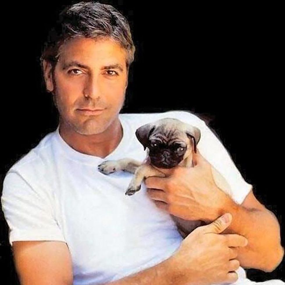 50 guys with puppies