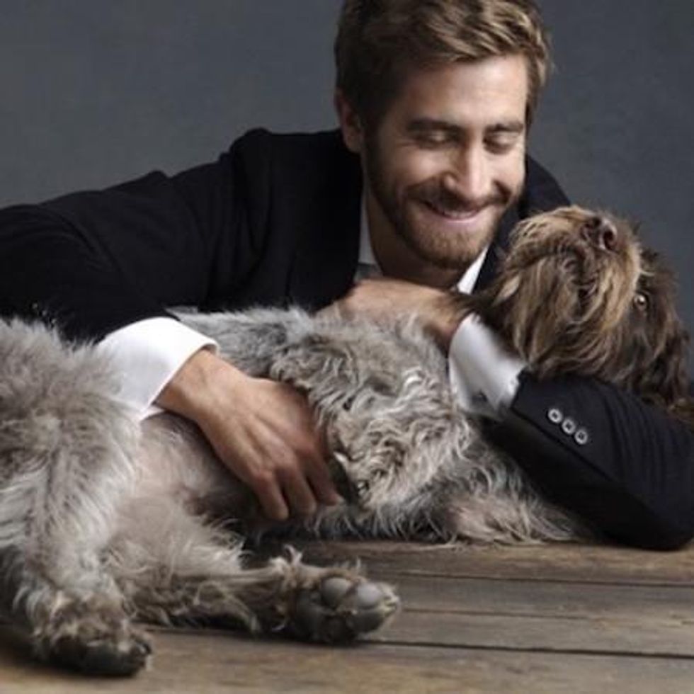 50 guys with puppies