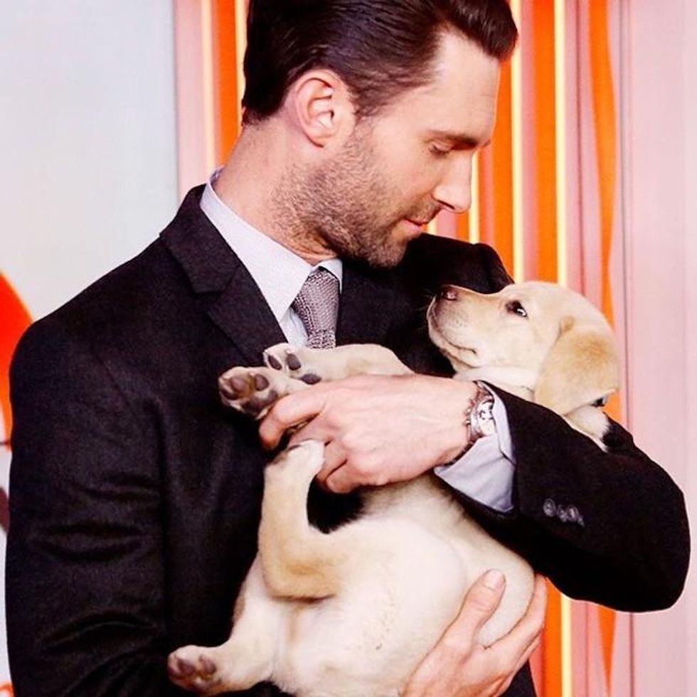 50 guys with puppies