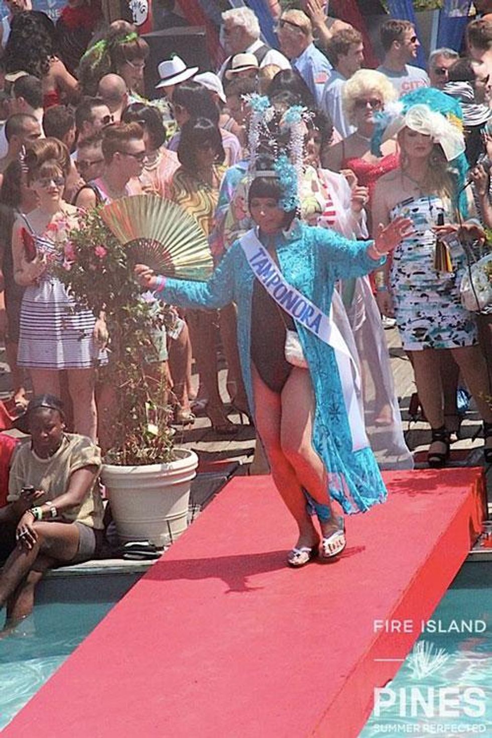 55-invasion-pines-history-2018