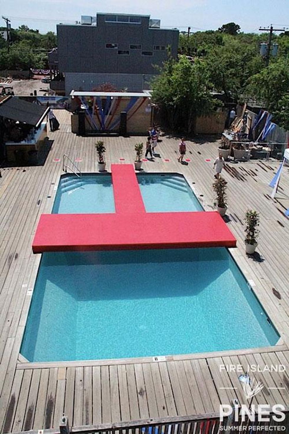 61-invasion-pines-history-2018