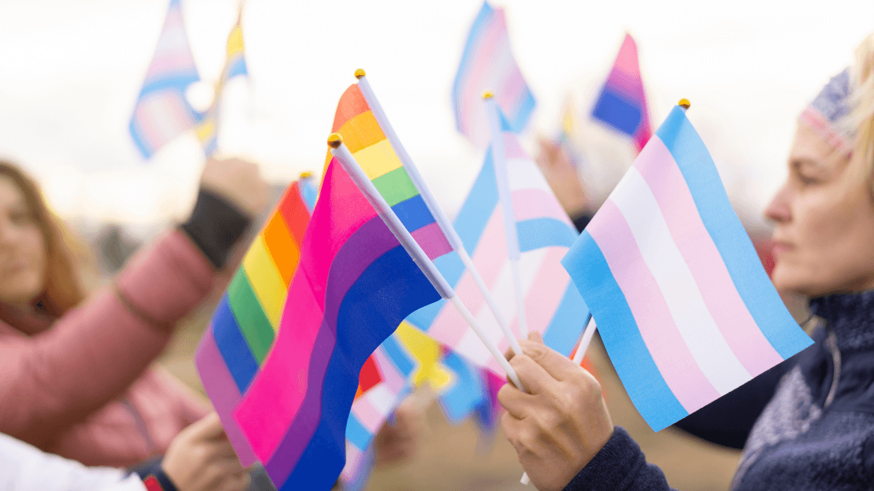 A bisexual Pride flag is held alongside other LGBTQ+ flags during a community demonstration.