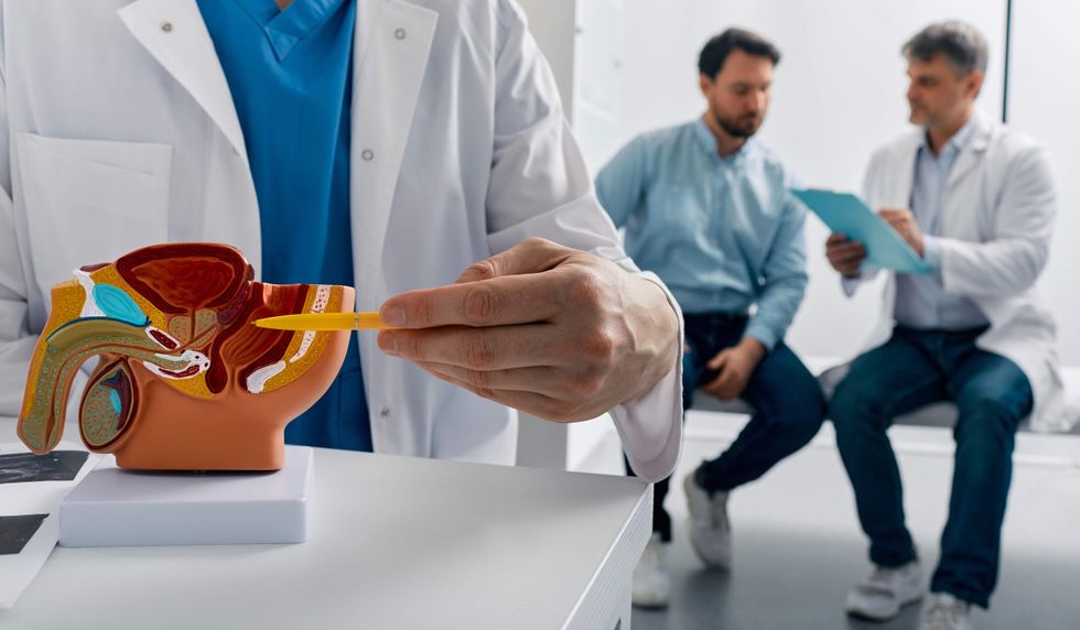 A doctor pointing to a model of the male anatomy and a patient talking to a doctor in the background