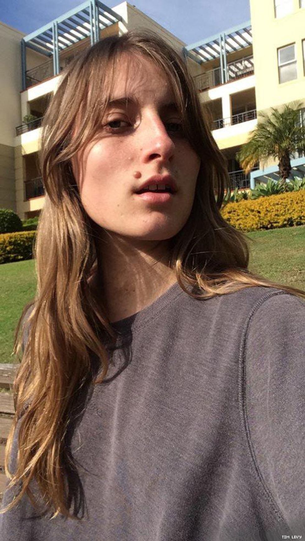 A Star Is Born...Again