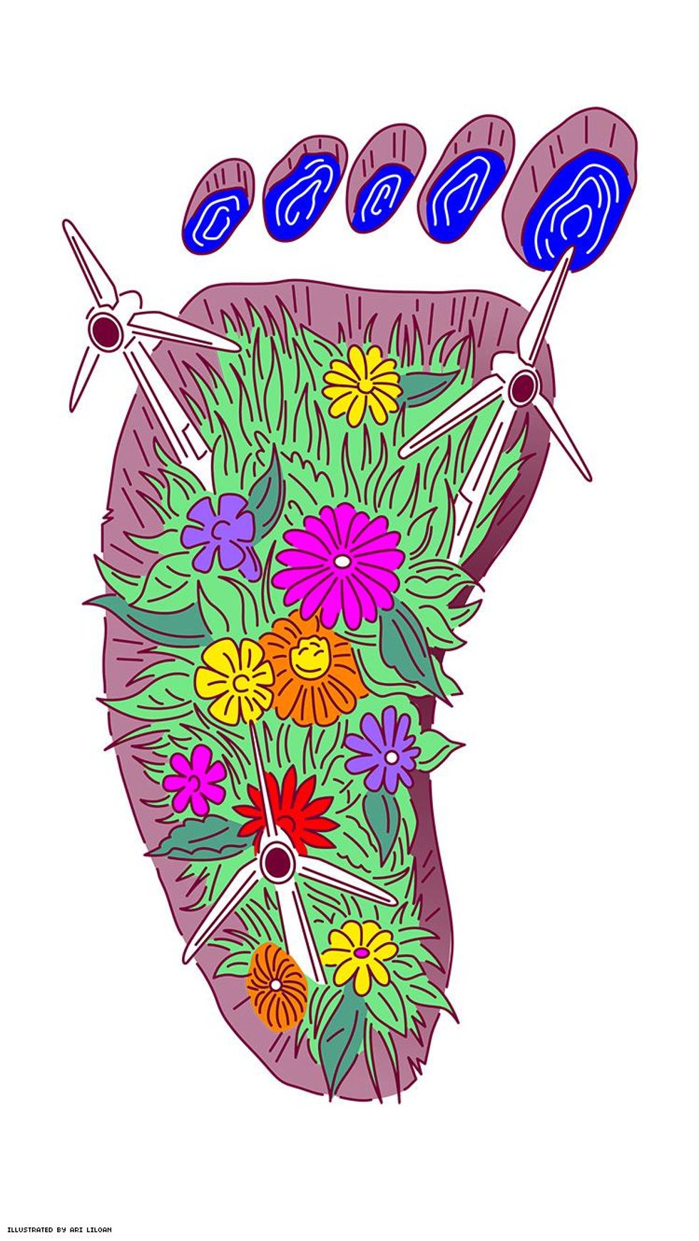 A Star Is Born...Again