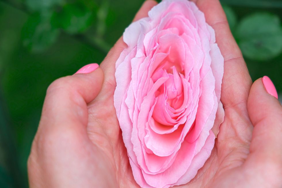 A woman holding a rose in her hand