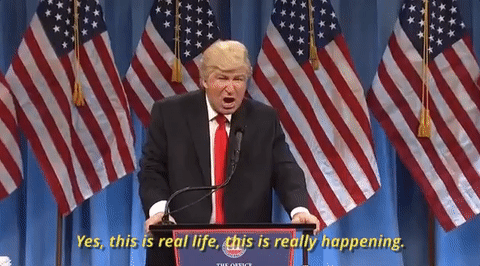 ab fab patsy stone trans