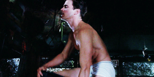 ab fab patsy stone trans