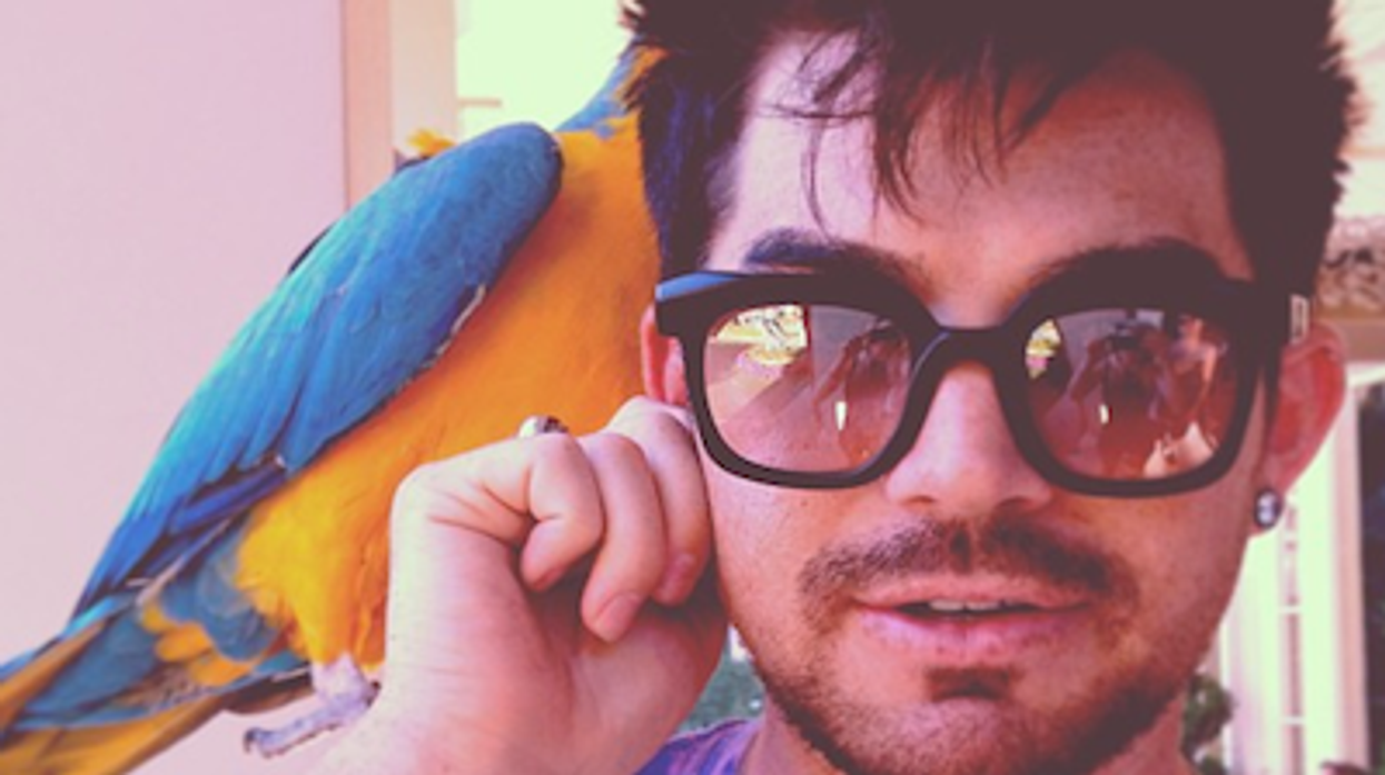 Adamlambert-parrot-cr