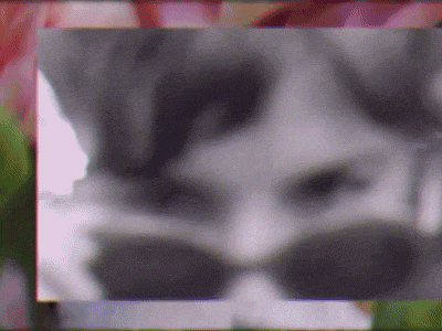 alexis carrington dynasty