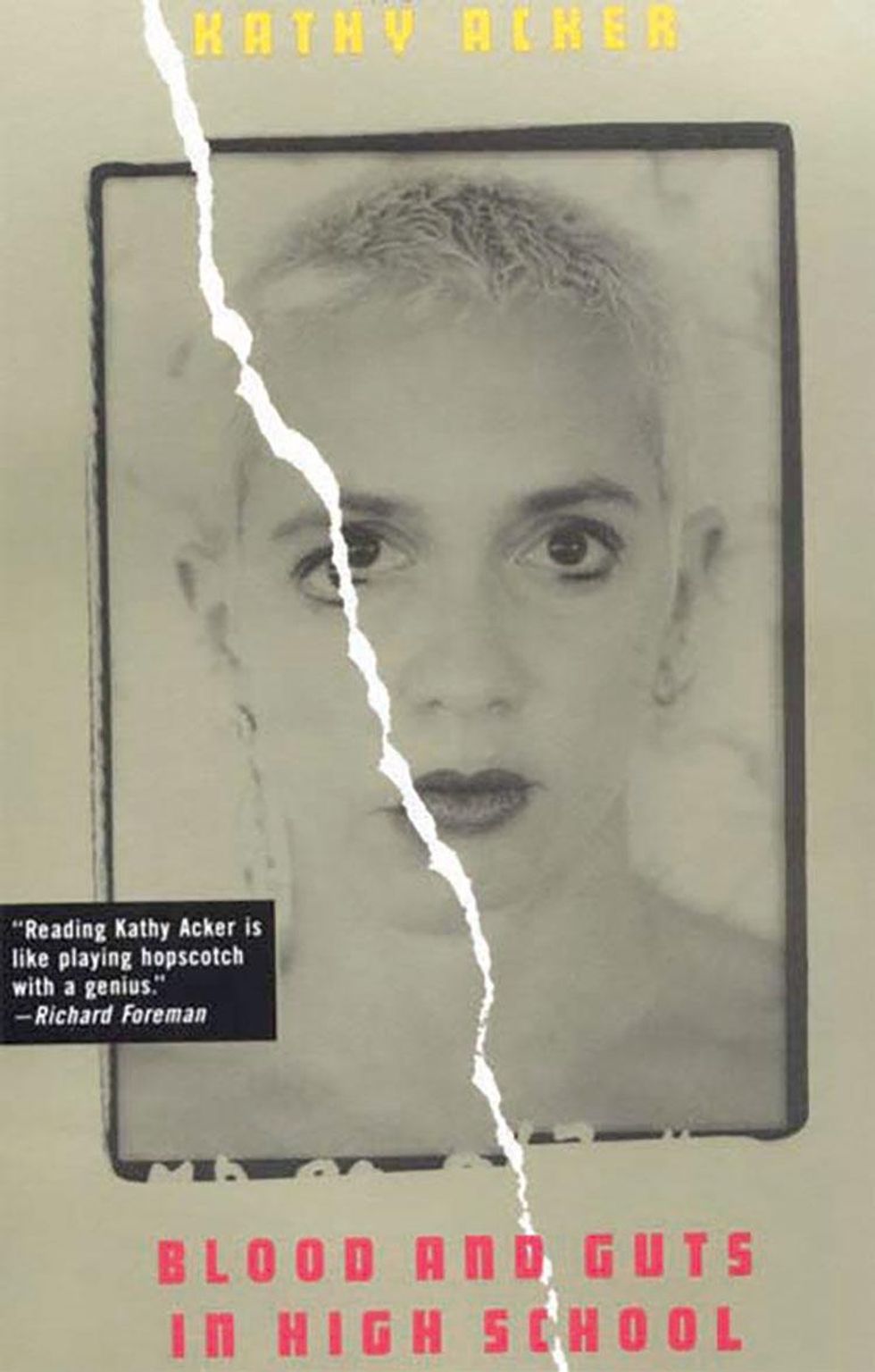 Amanda Palmer, Musician, Blood and Guts in High School by Kathy Acker