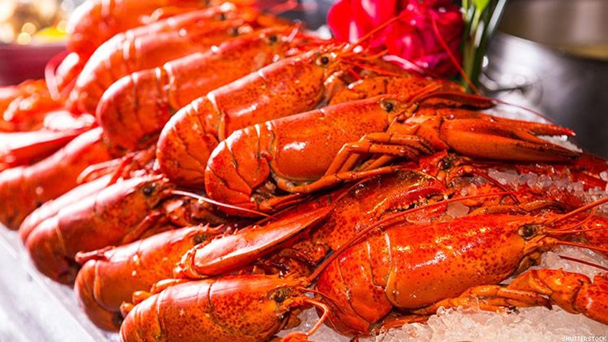 American Dialect Society names the lobster emoji an Emoji of the Year due to trans community's usage.