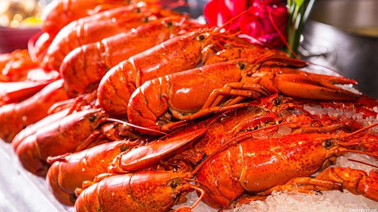 American Dialect Society names the lobster emoji an Emoji of the Year due to trans community's usage.