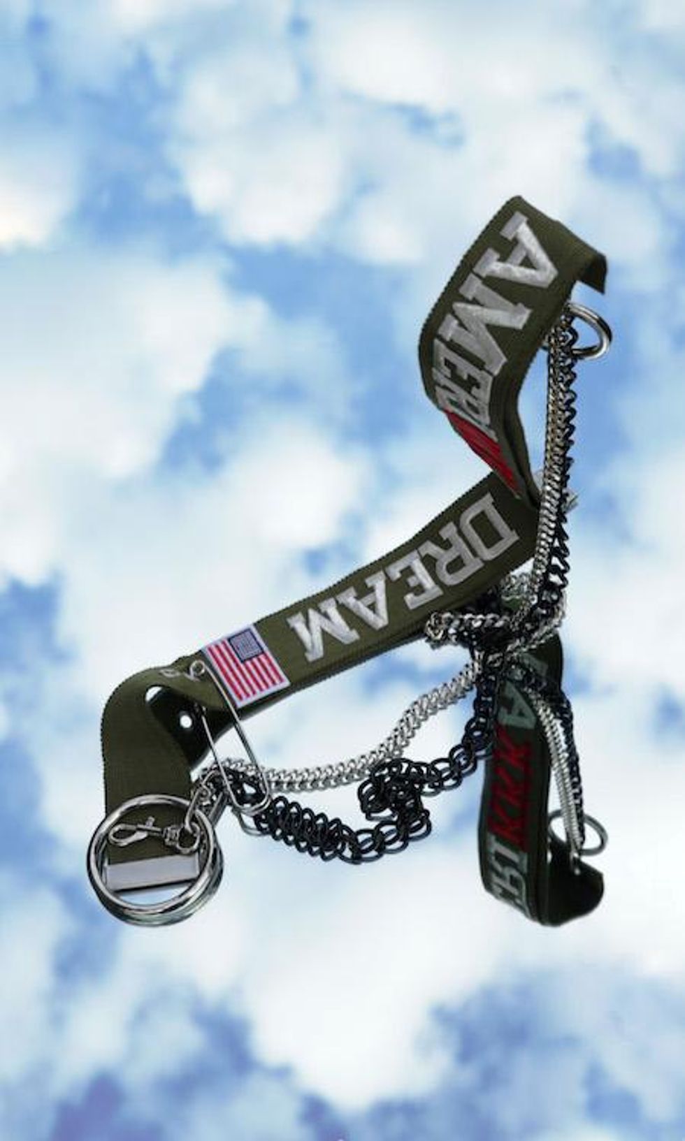 Amerikkkan Dream by Irene Ojo-Felix