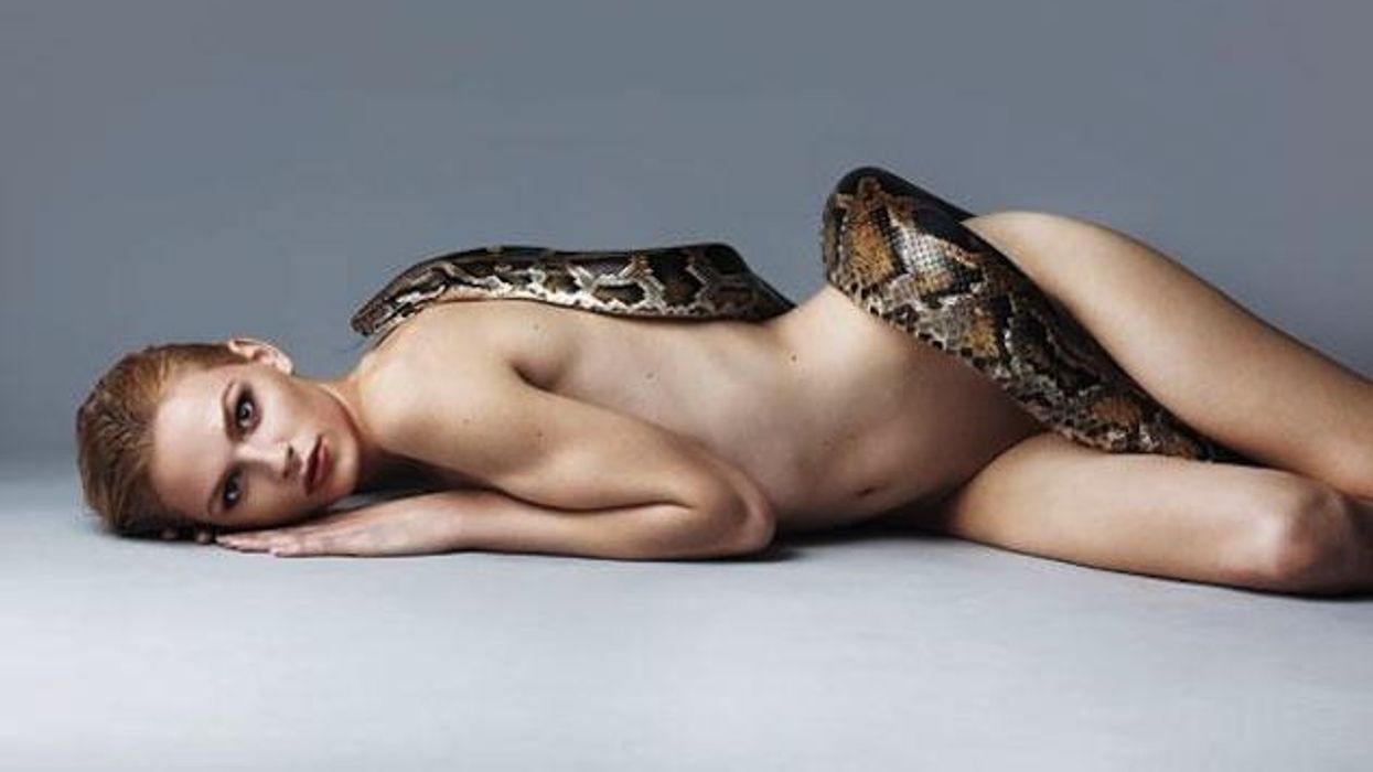 Andrejpejicrotator_0