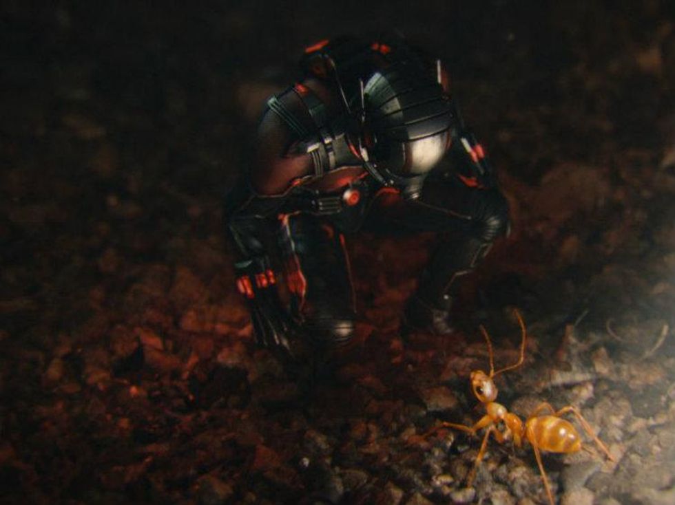 Ant-Man, Paul Rudd