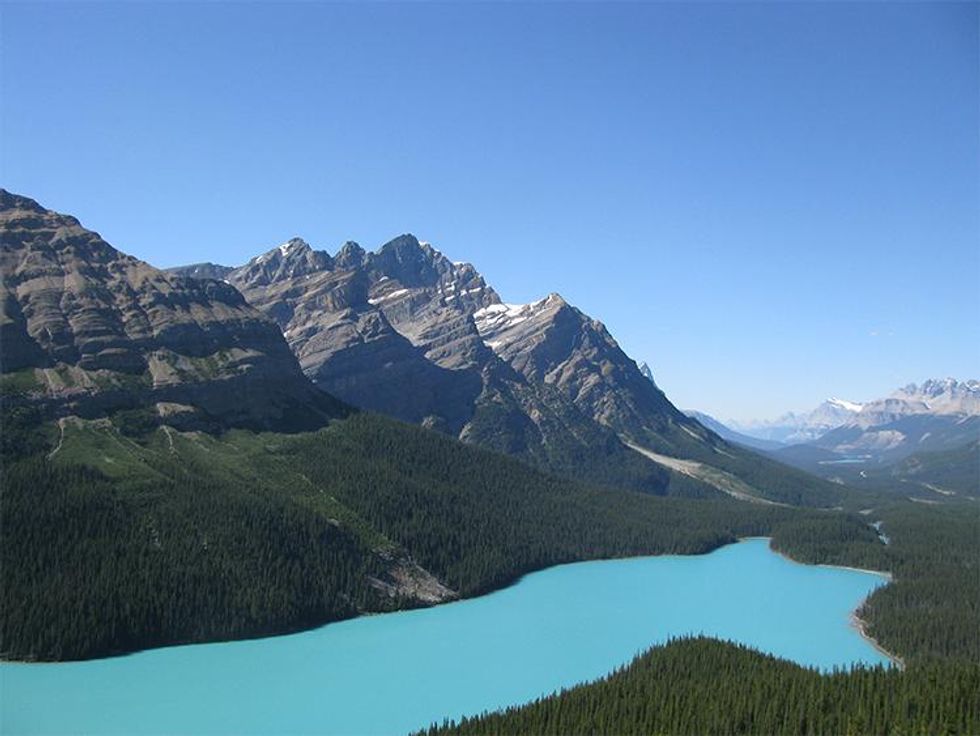 Anthony Friedkin The Gay Essay