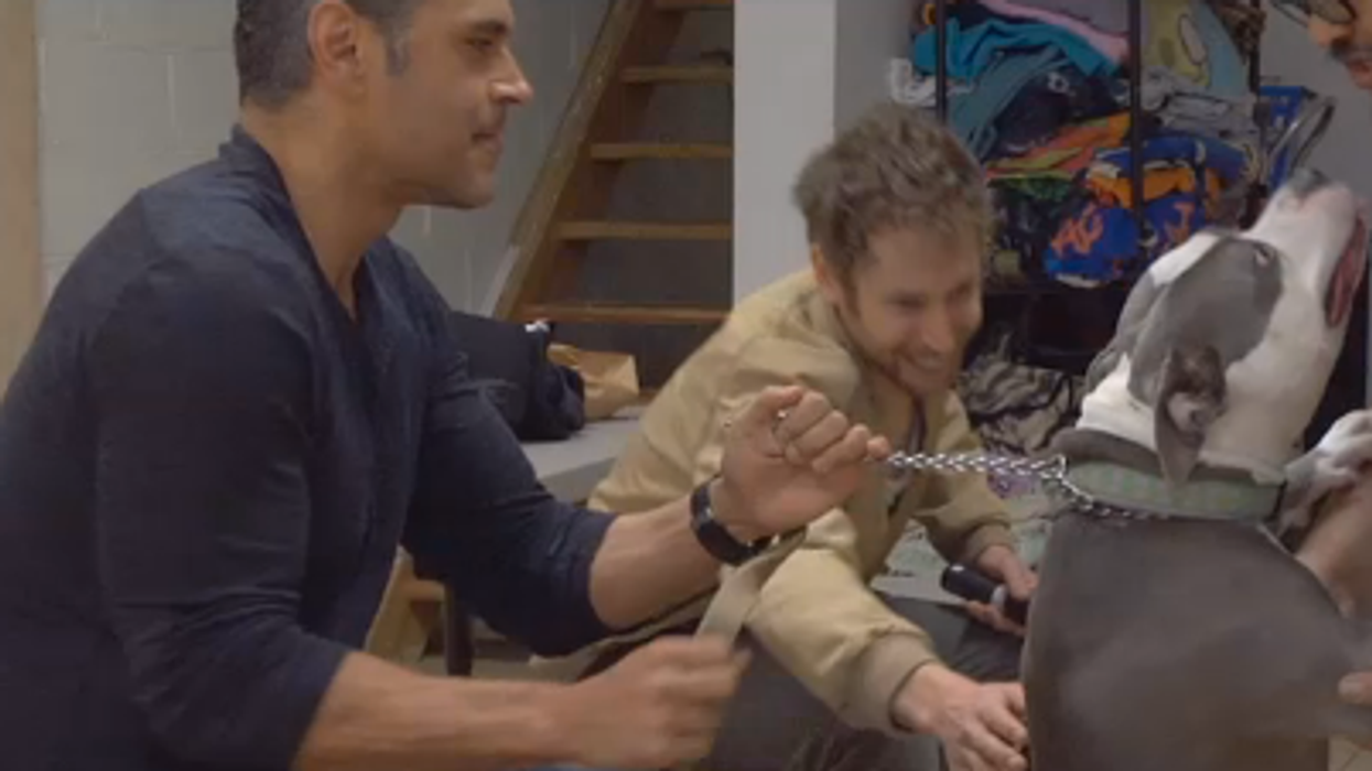 Apuppy-mike-ruiz-main