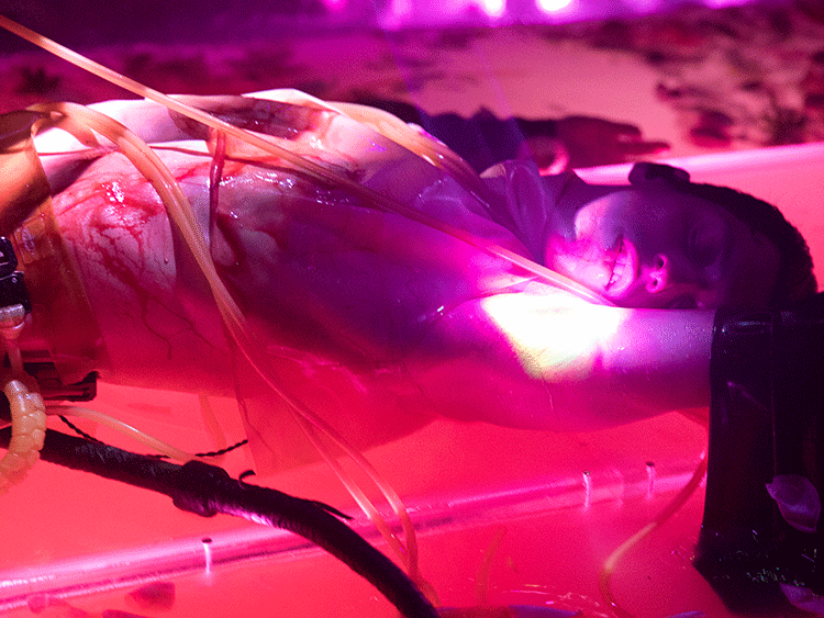 ARCA SSENSE MOTREAL Fashion Experience