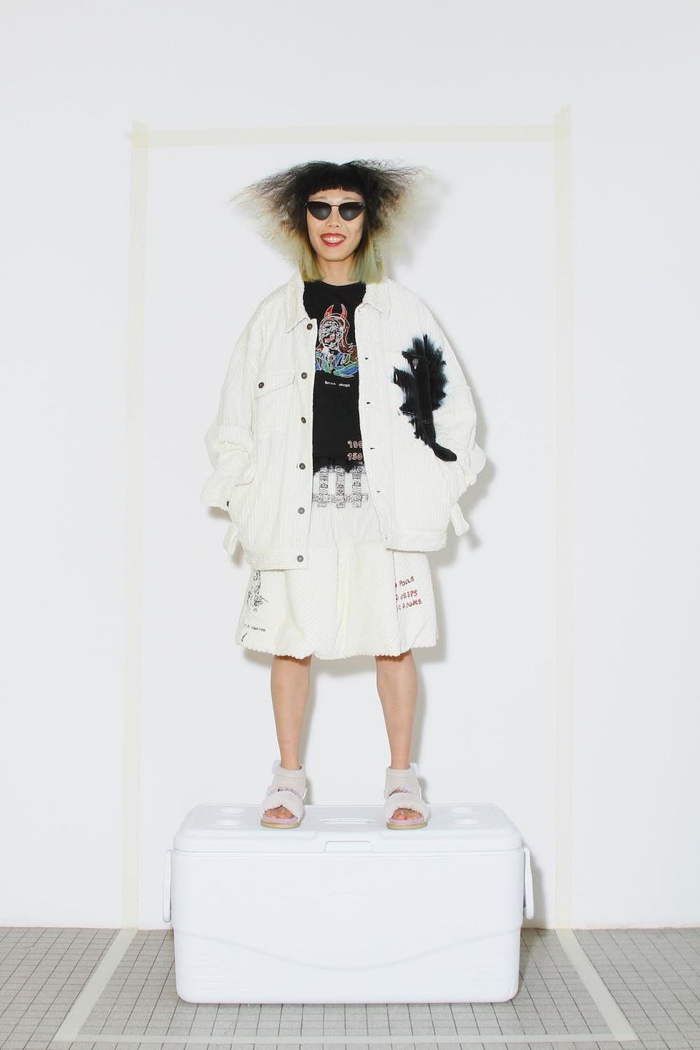 Barbra Streisand (1976)