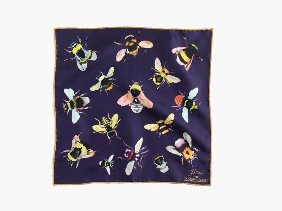 Bees pocket square J Crew