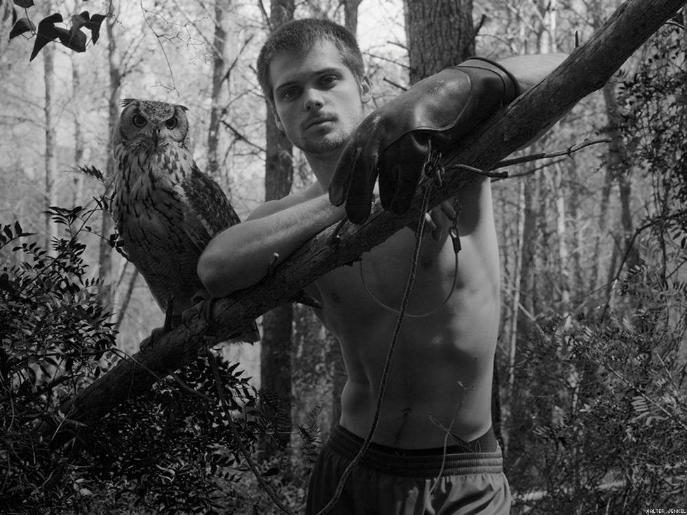 Bengal eagle-owl (Bubo bengalensis)