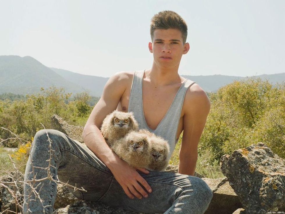 Bengal eagle-owls (Bubo bengalensis)